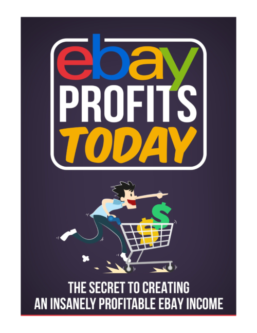 Ebay Profits